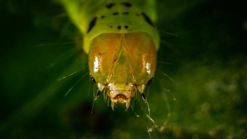 caterpillar fault codes pdf