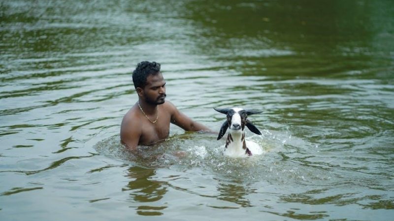 kanda sasti kavasam in tamil pdf