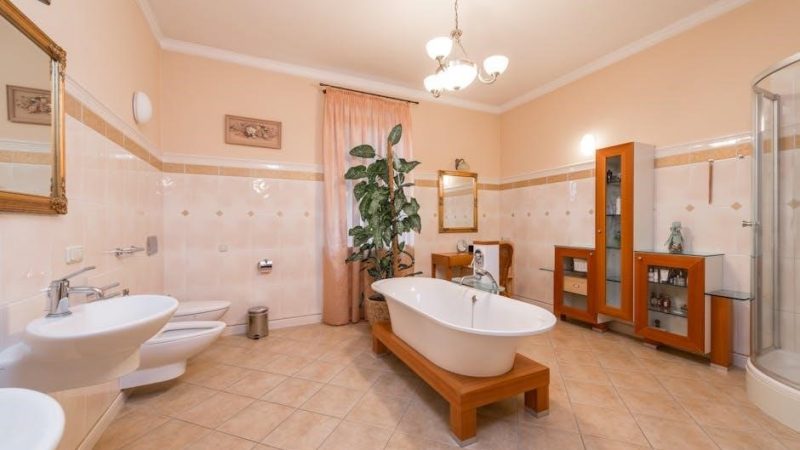manual bidet toilet seat