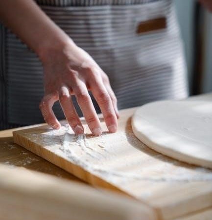 bread maker manual panasonic