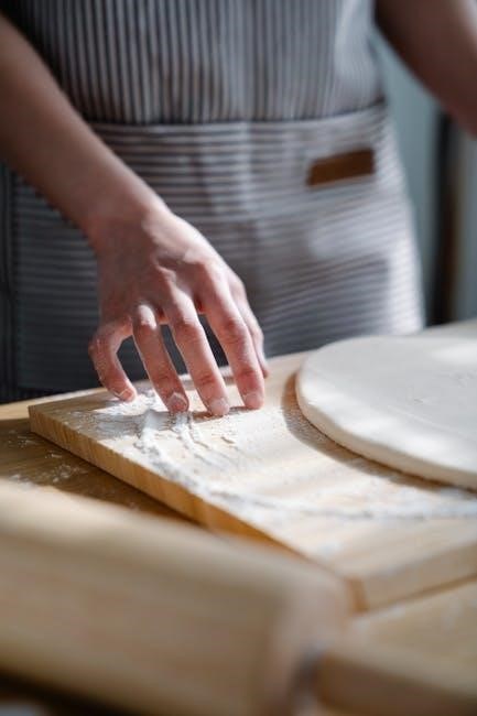 bread maker manual panasonic
