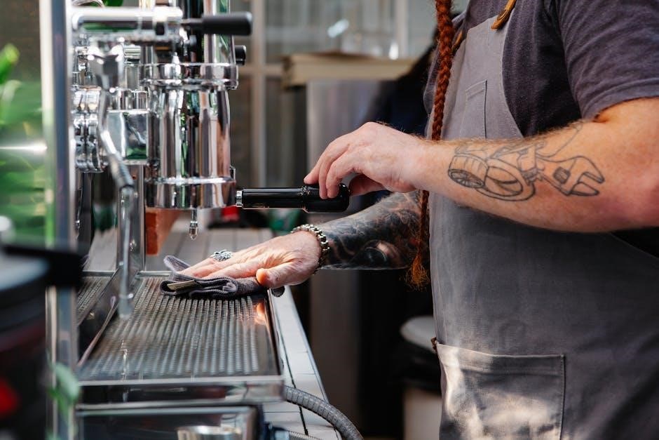 bella pro series espresso machine manual