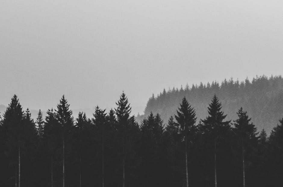 what are manual distractions